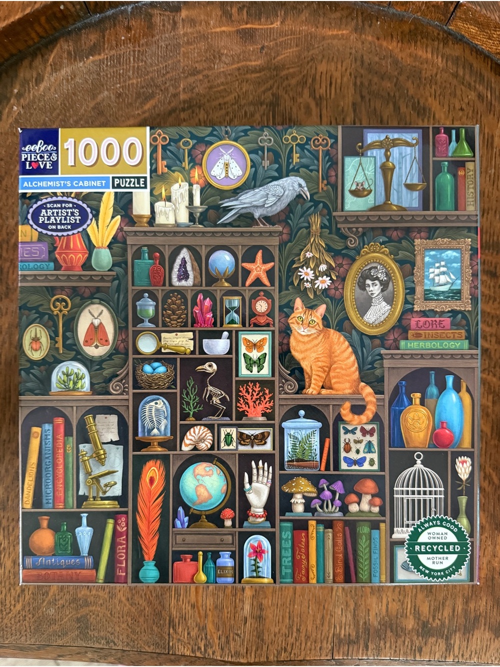 EeBoo Alchemist's Cabinet 1000-Piece Puzzle